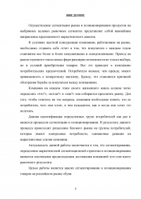 Сегментация и позиционирование товара на рынке обуви Образец 134349