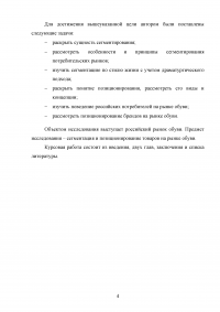 Сегментация и позиционирование товара на рынке обуви Образец 134350