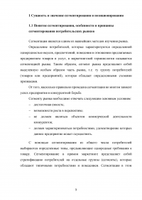 Сегментация и позиционирование товара на рынке обуви Образец 134351