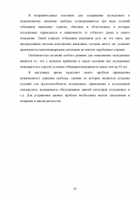 Пожизненное лишение свободы как вид уголовного наказания Образец 133216