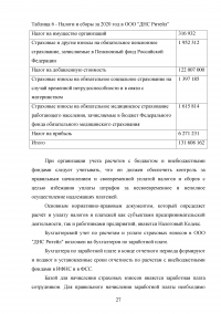 Организация бухгалтерского учета на предприятии ООО «ДНС Ритейл» Образец 135029