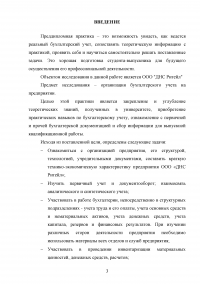 Организация бухгалтерского учета на предприятии ООО «ДНС Ритейл» Образец 135005